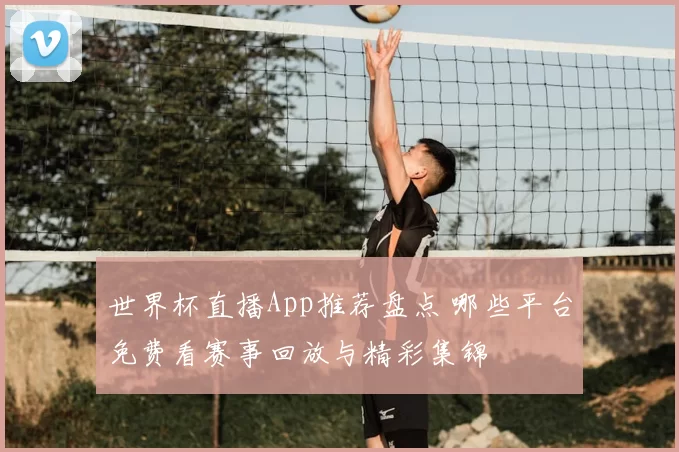 世界杯直播App推荐盘点 哪些平台免费看赛事回放与精彩集锦