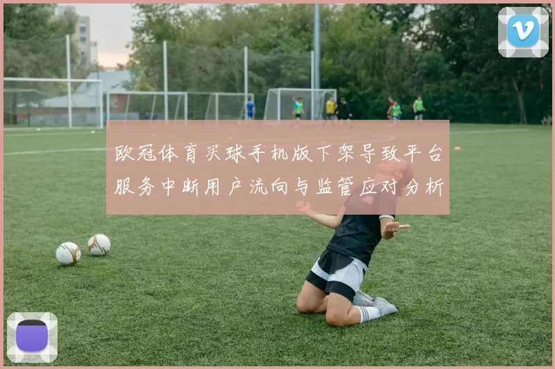 欧冠体育买球手机版下架导致平台服务中断用户流向与监管应对分析